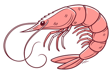 shrimp on a white background