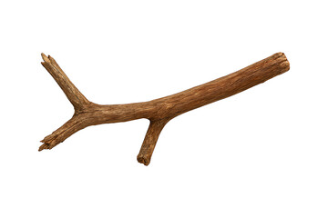 Weathered Tree Branch on White Background – Rustic Natural Decor
