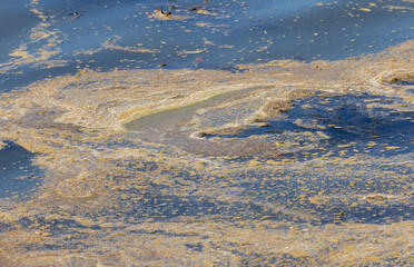 Close-up of the surface of a polluted dirty water