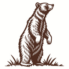 Fototapeta premium Brown Bear Standing Upward Illustration animal wildlife