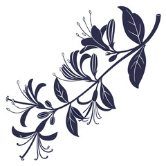 black and white honeysuckle