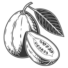 vector illustration of guavaberry