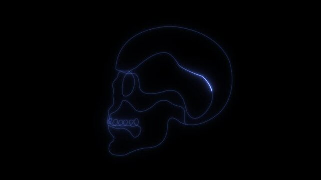 Abstract glowing Human Skull Continuous One Line . Skull Outline Drawing Line Art. Human Skull .