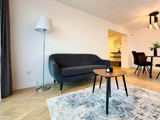 Modern luxury apartment interior in minimal scandinavian style, 3d rendering
