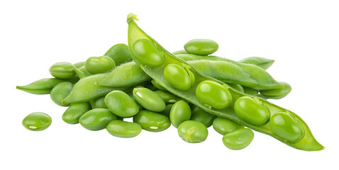 Fresh green soybeans and pod in closeup view highlighting their bright natural color on display