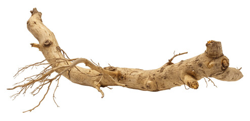 Obraz premium Detailed view of a weathered tree branch with visible knots isolated on a plain black background