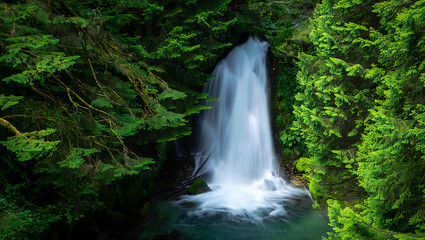 Lush forest waterfall cascading into turquoise water surrounded by vibrant green trees nature