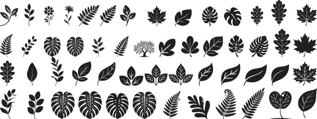 Diverse botanical leaf and flower silhouettes leaves
