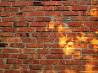 Textured Red Brick Wall with Warm Sunlight and Shadow Play