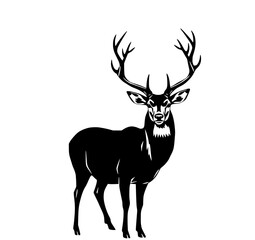 Obraz premium Majestic Deer Silhouette: A striking monochrome line art illustration of a regal deer with large antlers, standing proudly against a white background.