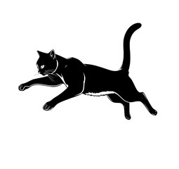 Leaping Black Cat: A striking monochrome line art illustration depicts a sleek black cat in mid-leap, showcasing its elegant form and powerful movement.