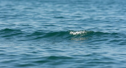 Fototapeta premium Calm ocean waves gently rolling