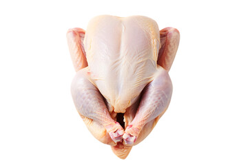Whole raw chicken presented against a stark poultry bird