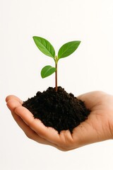 Nurturing New Growth A Seedling in Hand, Symbolizing Hope and Renewal