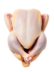 Whole raw chicken presented on a poultry meat