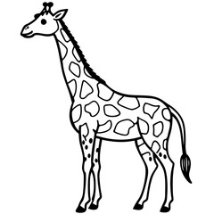 Cute zebra cartoon animal character