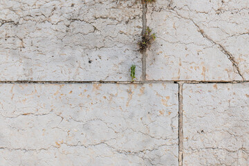 mur de pierre