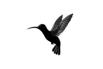 Fototapeta premium PNG Elegant black hummingbird in flight against black background