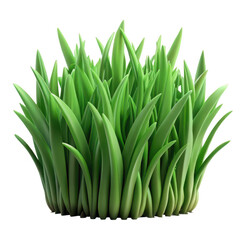 Lush green grass blades with a black background