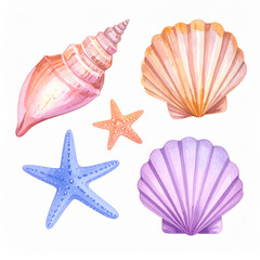 colorful Watercolor Seashells – Coastal Nature Illustration
