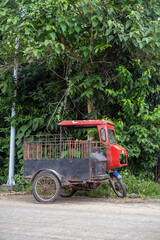 An aged tricycle rests at the edge of a road, embraced by dense tropical foliage. The vibrant red...
