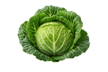 Obraz premium Fresh, organic cabbage head with green leaves, isolated on a white background, perfect for healthy vegetarian recipes