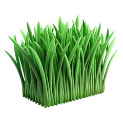 Vibrant green grass blades growing uniformly against a black background