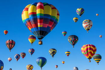 Obraz premium Colorful hot air balloons fill the sky during a lively festival