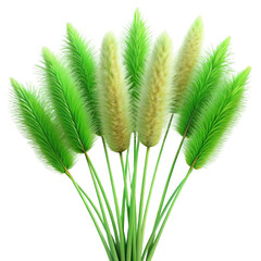 Vibrant green pampas grass stems with fluffy seed heads on black background