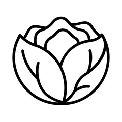 Minimalist line drawing of a head of cabbage perfect for icons or logos