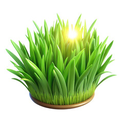 Lush green grass illuminated by a bright sunburst