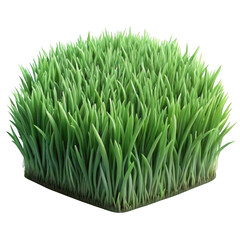 Vibrant square of lush green grass with dark background
