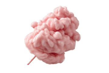 PNG Fluffy pink cotton candy on a stick isolated on white background