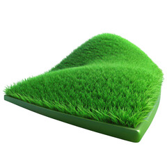 Vibrant green grass hill with smooth undulating surface