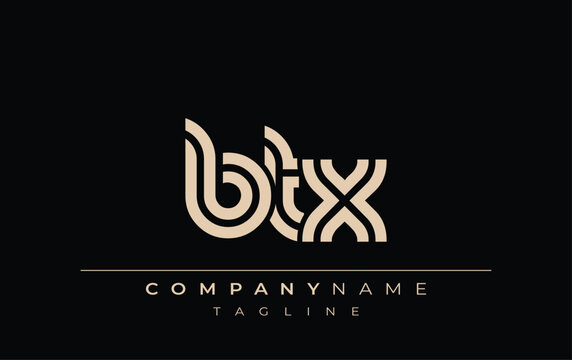 BTX Creative Unique Modern Letter Logo Design. Stylized logo featuring a unique letter design, presenting abstract minimalist aesthetics and modern appeal.