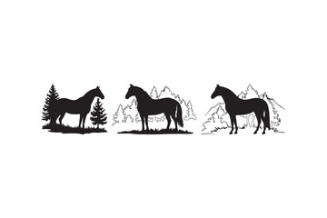 Horse silhouettes standing in a natural landscape setting