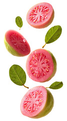 Fresh pink guava slices with leaves falling isolated on transparent white background, clipping path