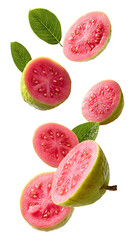 Fresh pink guava slices with leaves falling isolated on transparent white background, clipping path