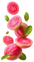 Fresh pink guava slices with leaves falling isolated on transparent white background, clipping path