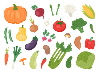 Colorful Collection of Fresh Garden Vegetables.