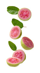 Fresh pink guava slices with leaves falling isolated on transparent white background, clipping path