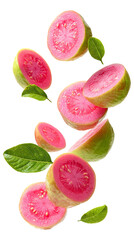 Fresh pink guava slices with leaves falling isolated on transparent white background, clipping path
