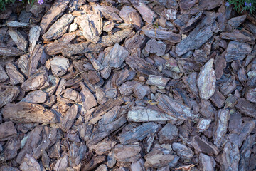Wood chip bark chippings having been shredded for use as a garden mulch by the lumber timber industry which can be used as an abstract texture background, stock photo image