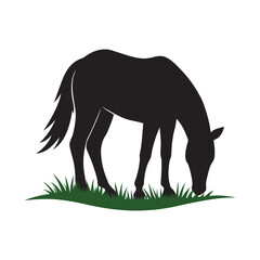 Horse Grazing Bending Neck In Silhouette