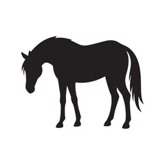 Silhouette Of Horse Trotting In Side View