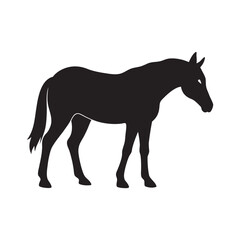 Trotting Horse In Side View Silhouette