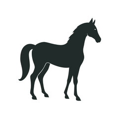 Perfectly Balanced Horse In Standing Pose