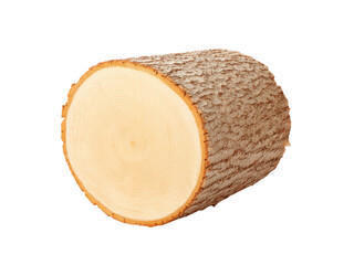 Cross section of a tree trunk showing growth rings, Isolated On Transparent Background, Png