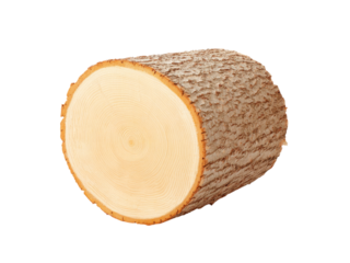Cross section of a tree trunk showing growth rings, Isolated On Transparent Background, Png
