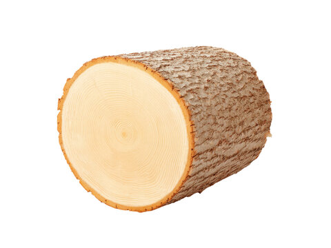 Cross section of a tree trunk showing growth rings, Isolated On Transparent Background, Png